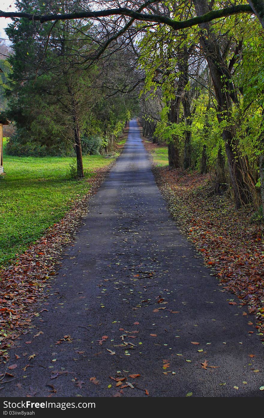 A mountain road in Tennessee. A mountain road in Tennessee