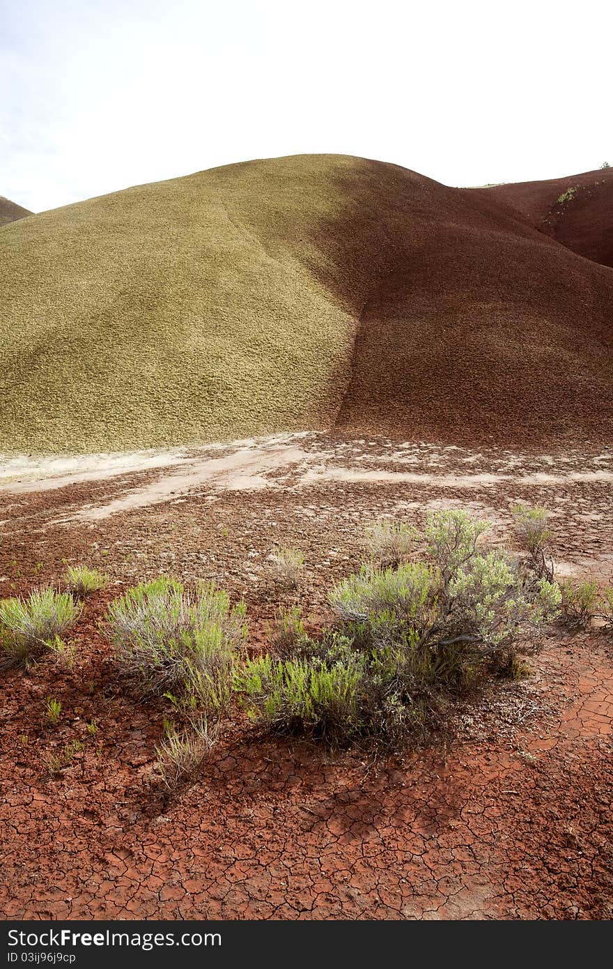 Multi colored hills.