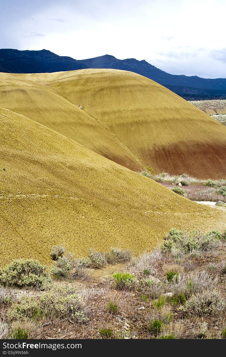 The yellow color of the Painted Hills in north central Oregon. The yellow color of the Painted Hills in north central Oregon.