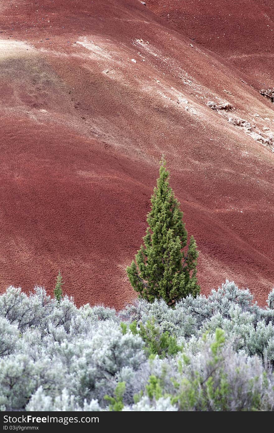 The green and red contrast of the Painted Hills in Oregon. The green and red contrast of the Painted Hills in Oregon.