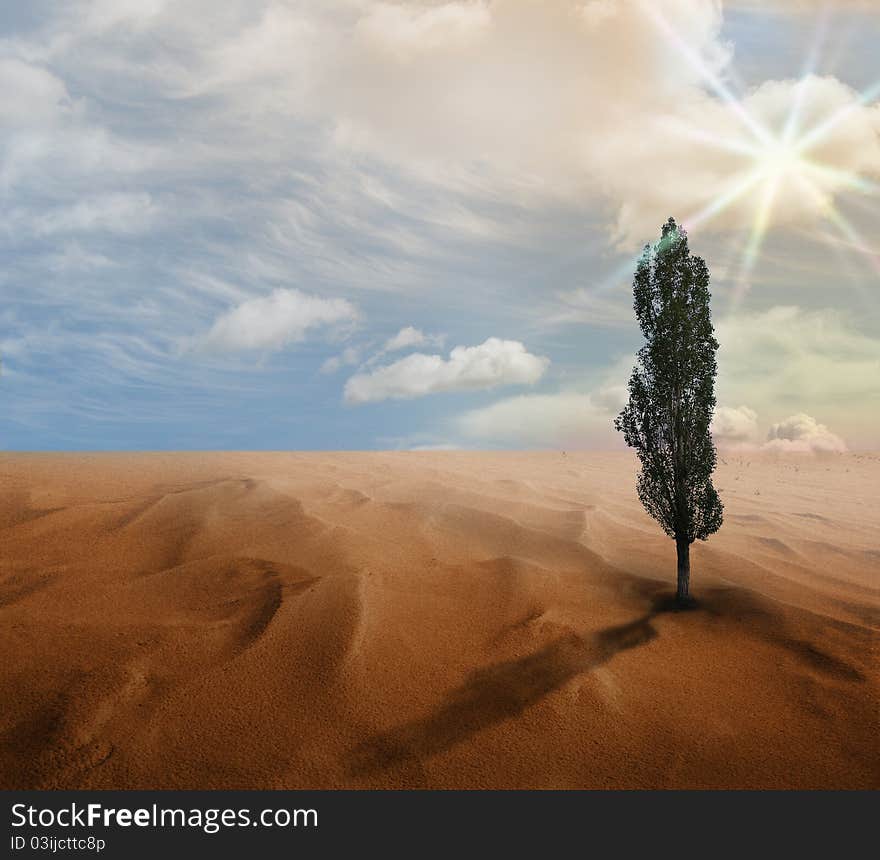 Desert. Illustration on the theme of environmental conservation.