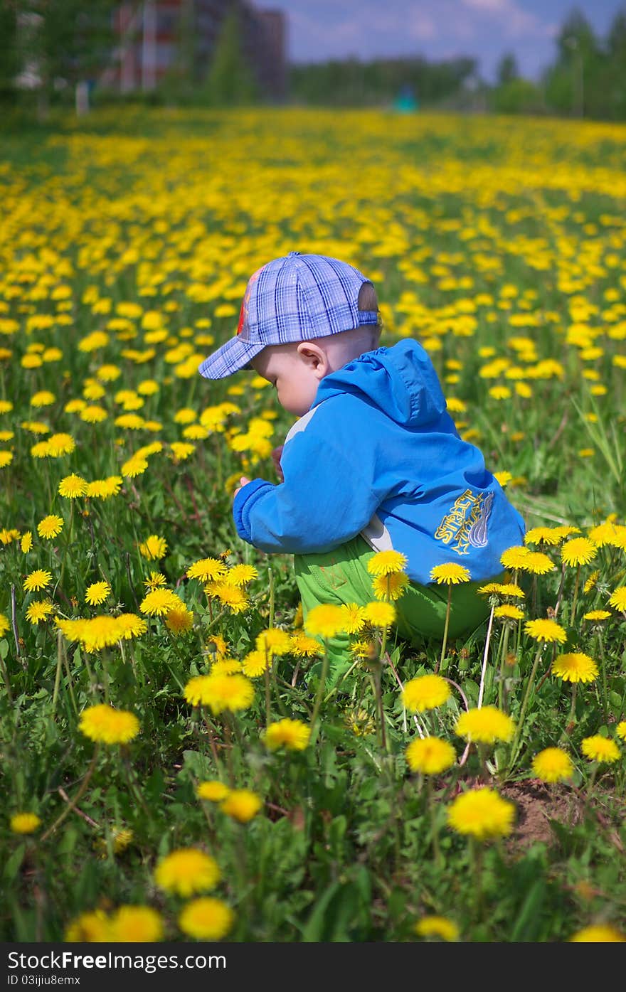 Little Boy Through Dandelions