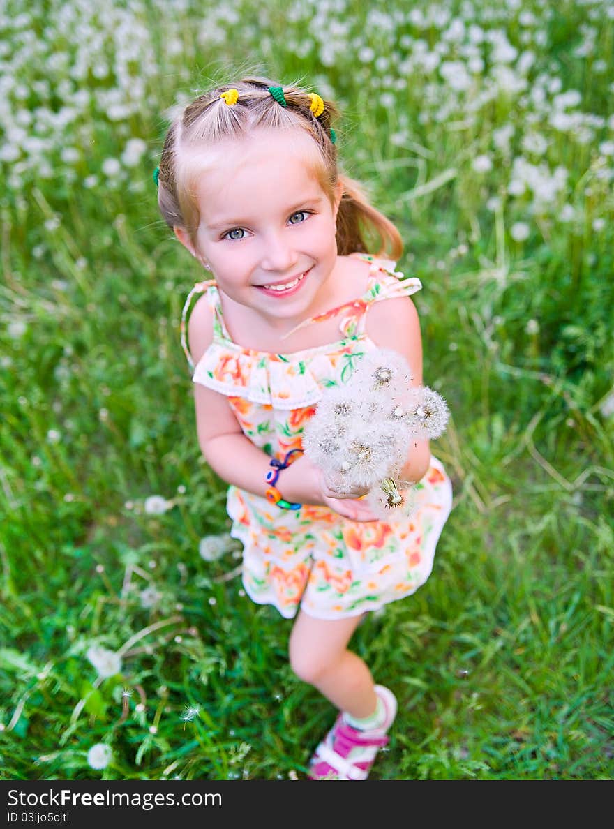 Cute little girl on the meadow in summer day. Cute little girl on the meadow in summer day