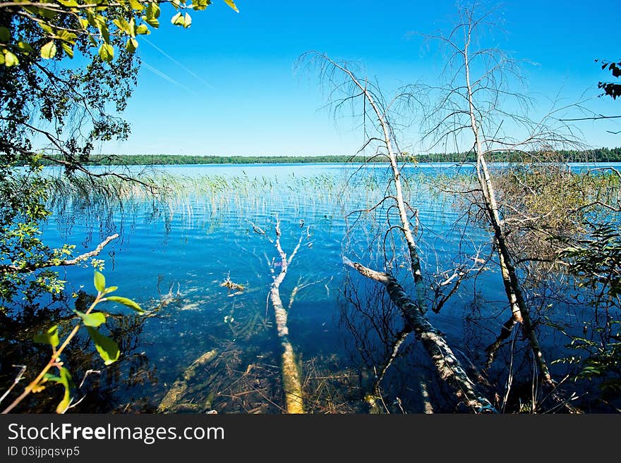 Lake on a sunny day