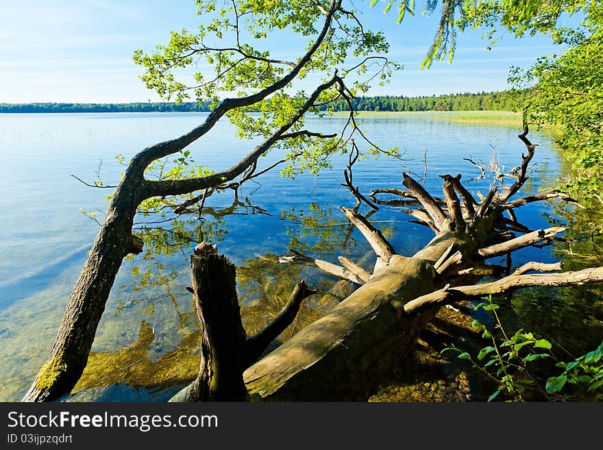 Lake on a sunny day