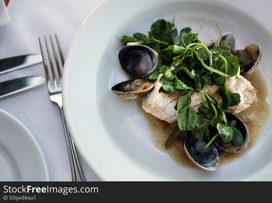 A gourmet dish of white fish, watercress and clams in a light sauce. A gourmet dish of white fish, watercress and clams in a light sauce