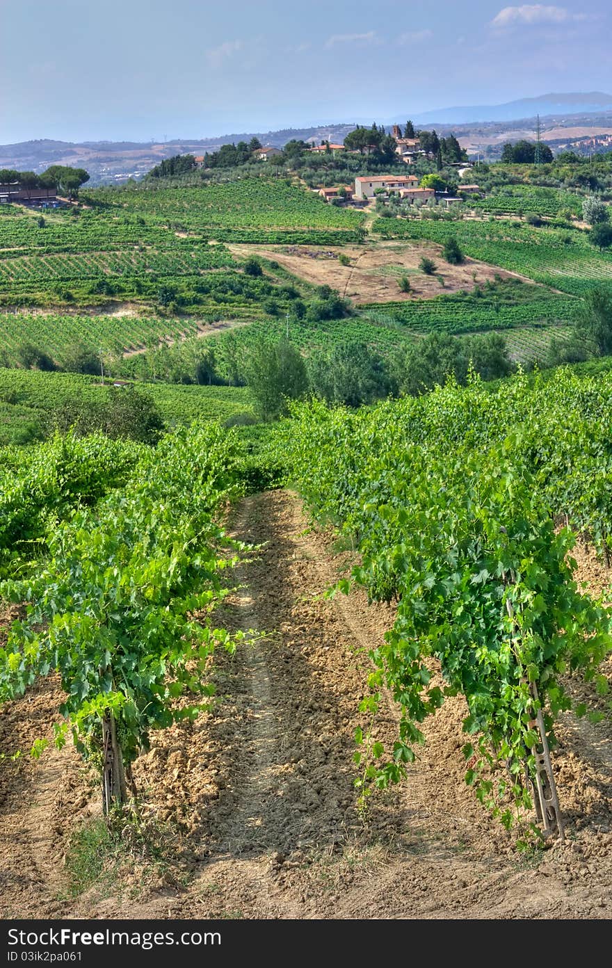 Hills of Tuscany