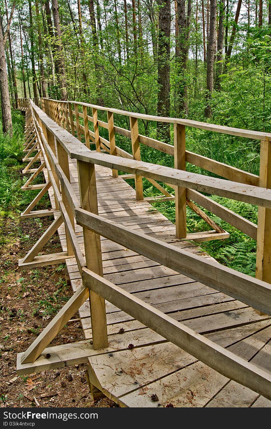 Footbridge over the swamp 2