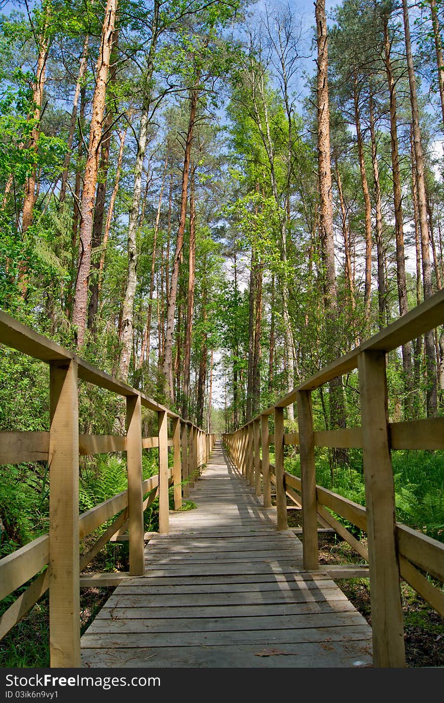 Footbridge