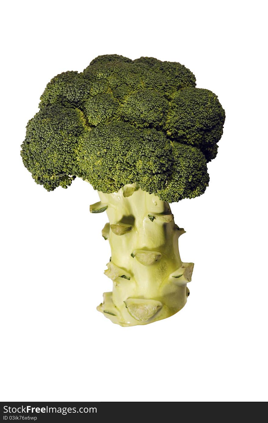 Fresh broccoli