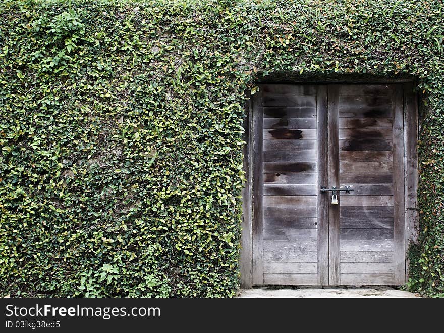 An ancient wood door with grass on wall, Okinawa Japan