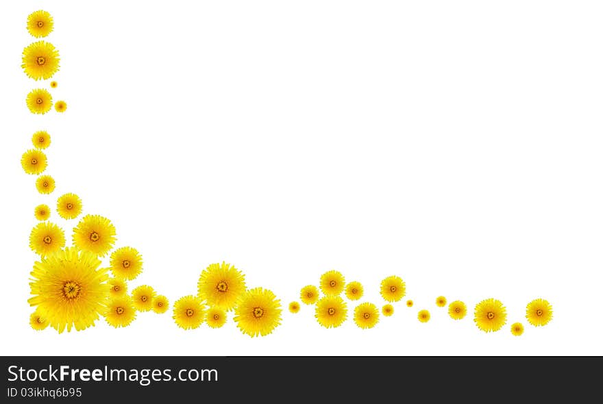 Border made from lot of yellow dandelion flowers. Border made from lot of yellow dandelion flowers