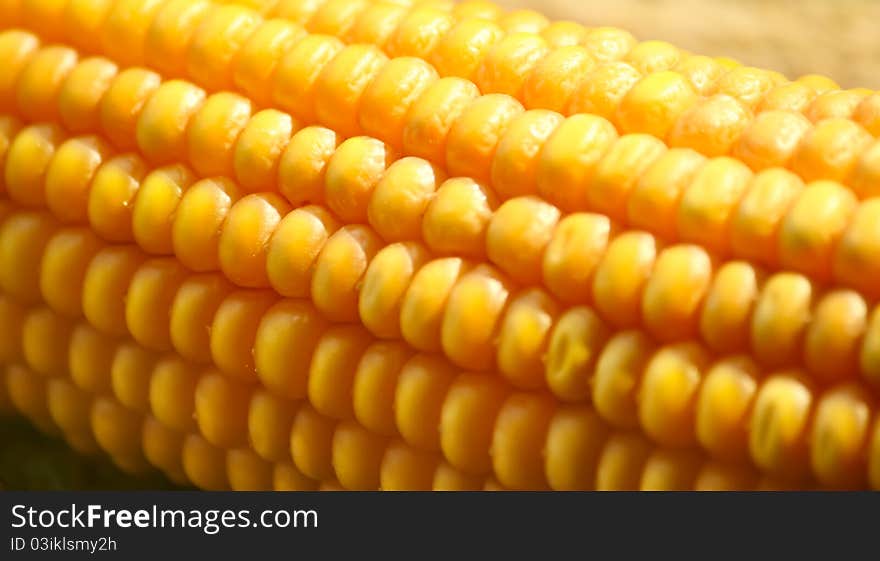 Sweet Corn