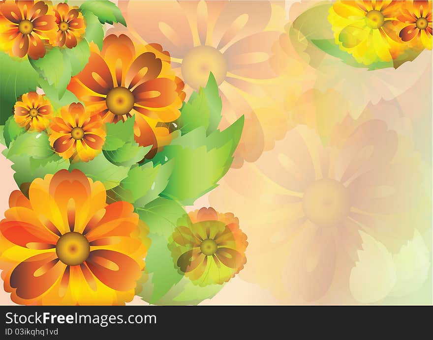 Color background with everlasting flowers and leaves and swirl. Color background with everlasting flowers and leaves and swirl