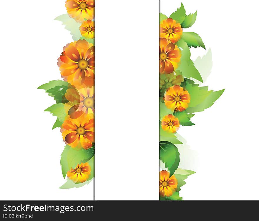 Color background with everlasting flowers and leaves with space for your text. Color background with everlasting flowers and leaves with space for your text