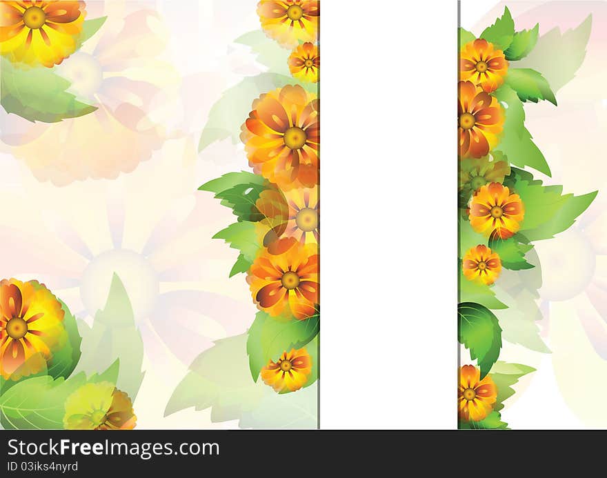 Color background with everlasting flowers and leaves with space strip for your text. Color background with everlasting flowers and leaves with space strip for your text