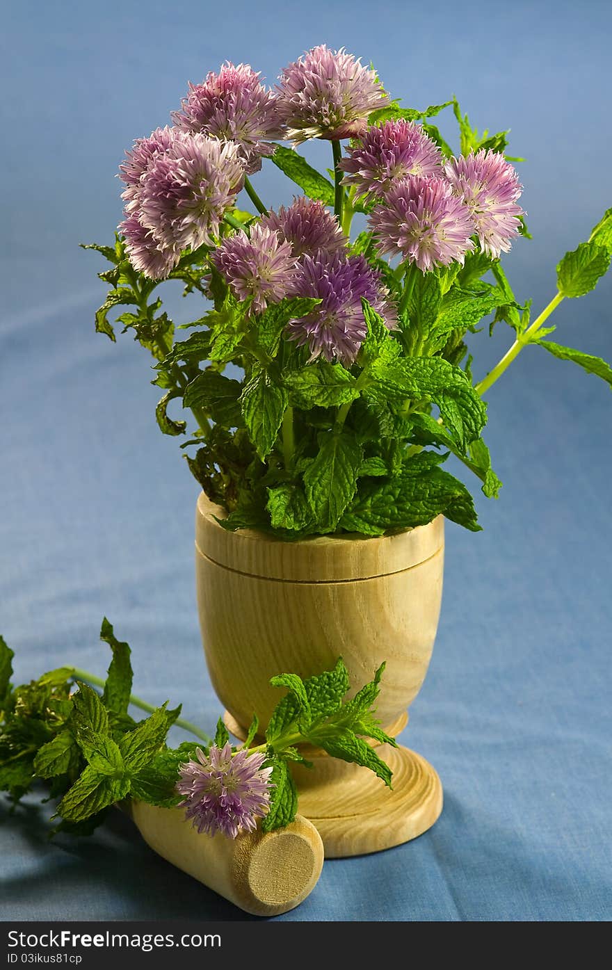 Blooming Chives and Mint