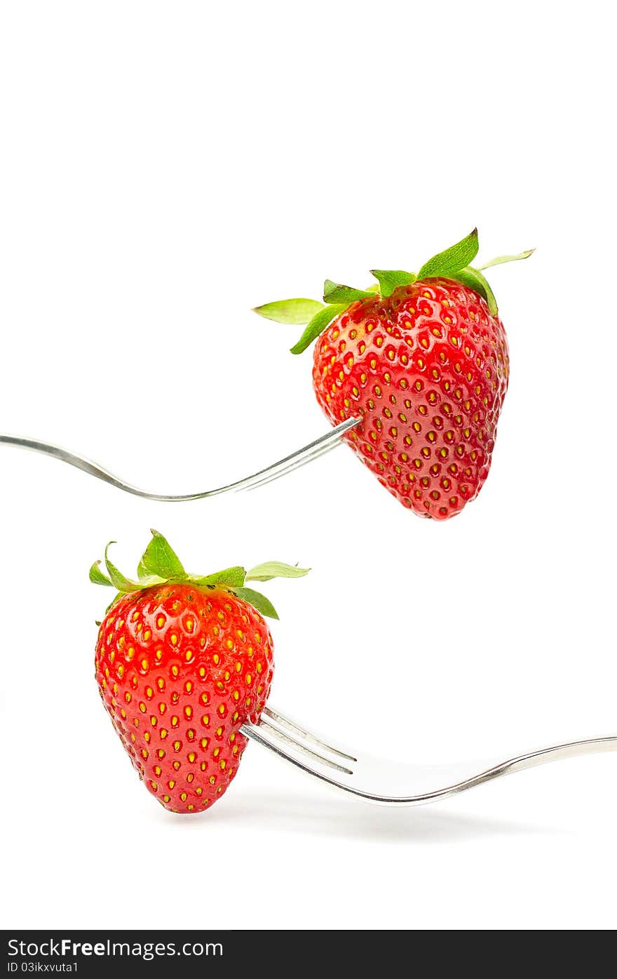 Strawberries on forks isolated on white background