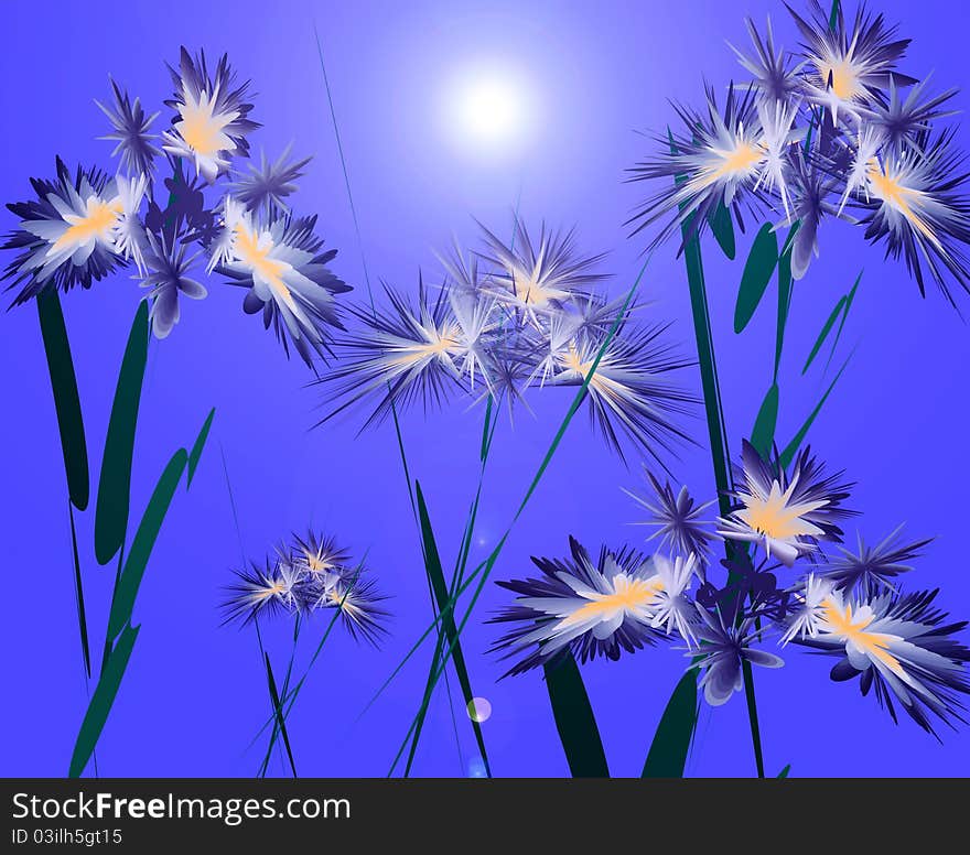 Cute composition of iris in the moonlight