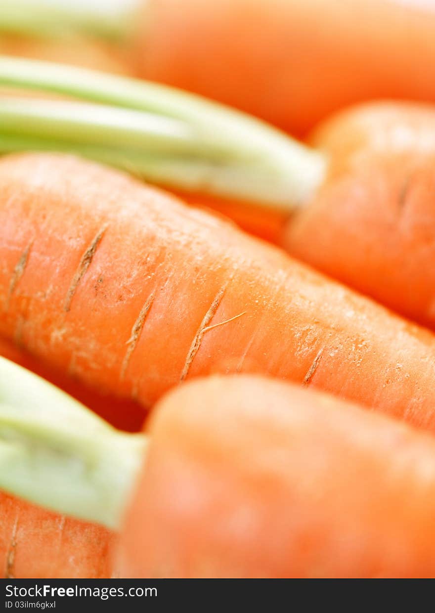 Bunch of harvest-fresh crunchy carrots close-up. Bunch of harvest-fresh crunchy carrots close-up