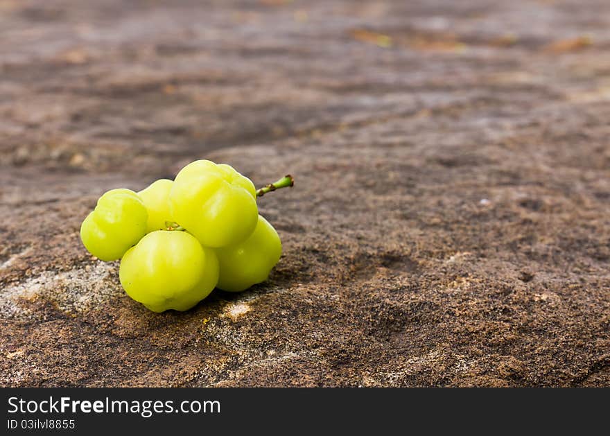 Star Gooseberry On stone background