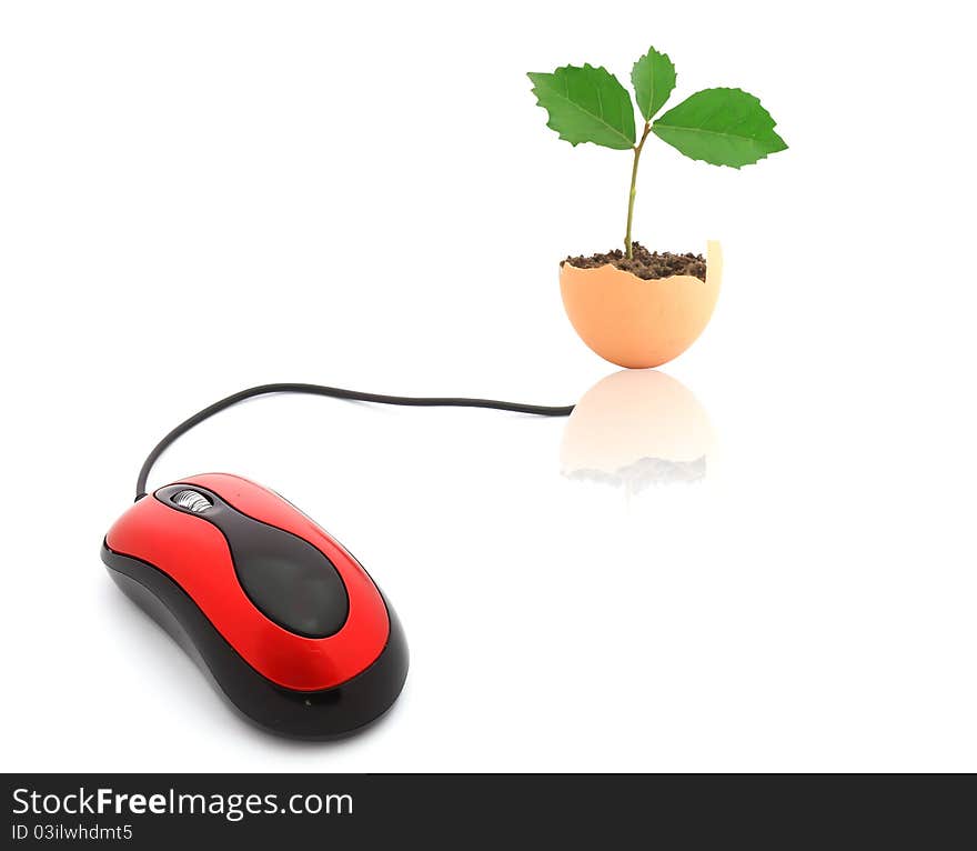 Pc mouse isolated on white with clipping path