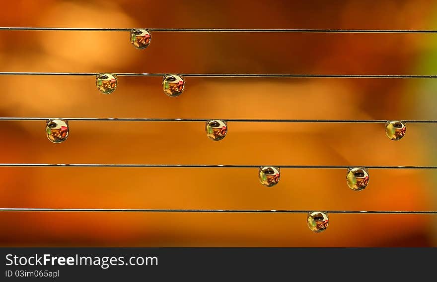 Color raindrops on steel wire