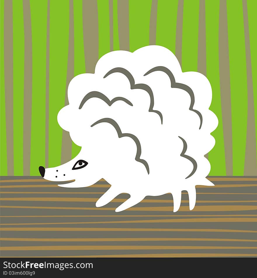 Soft hedgehog without thorns. Looks like a lamb. Soft hedgehog without thorns. Looks like a lamb