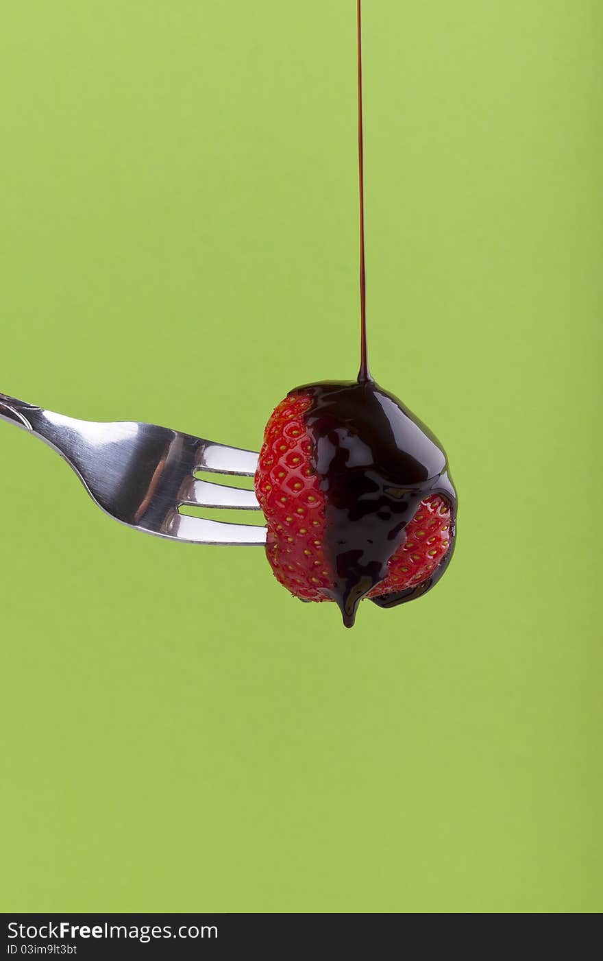 Studio-shot of a fork with a strawberry with dripping chocolate syrup on a green background. Studio-shot of a fork with a strawberry with dripping chocolate syrup on a green background.