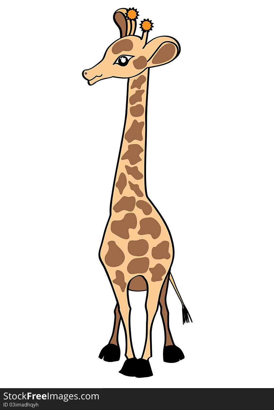 Giraffe On White. Vector Illustration