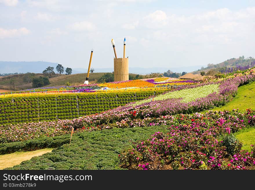 Flower garden in north of Thailand