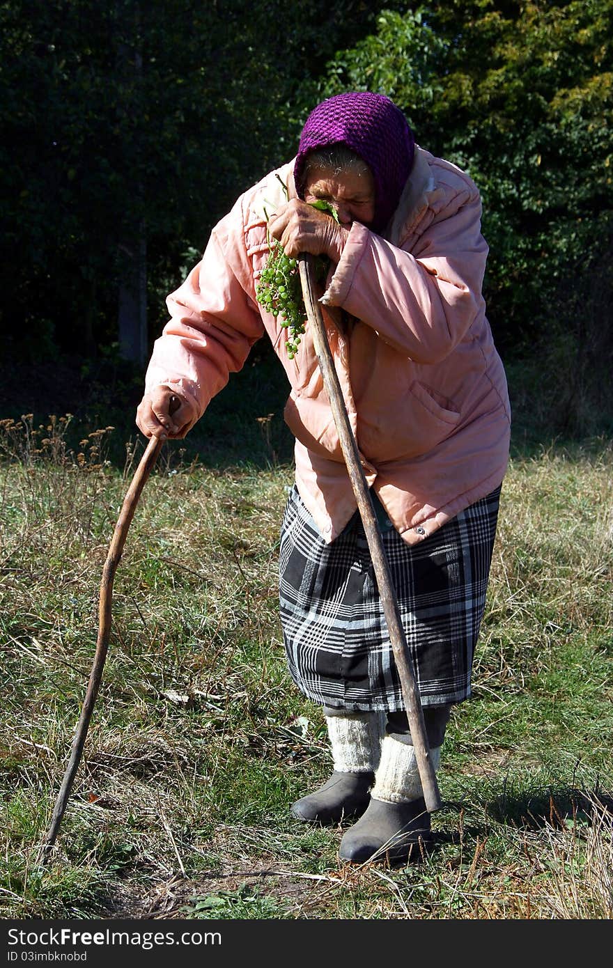 Grandmother in a pink jacket and purple scarf standing in the field, leaning on the peg. Grandmother in a pink jacket and purple scarf standing in the field, leaning on the peg