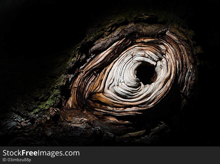 A hole in a tree trunk resembling an eye. A hole in a tree trunk resembling an eye