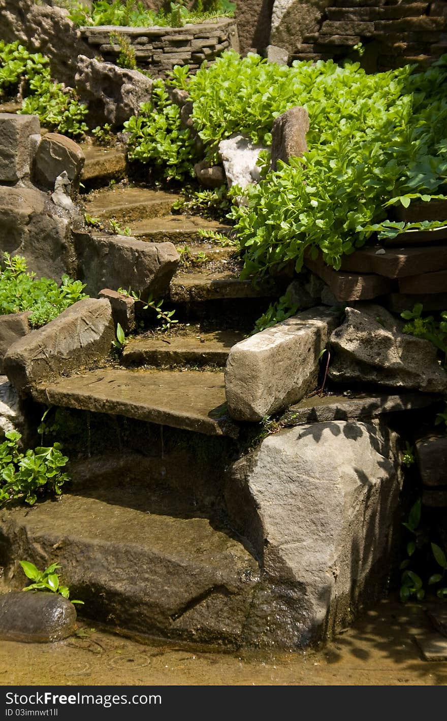 Beautiful landscape design: cascade, flowers and a stone