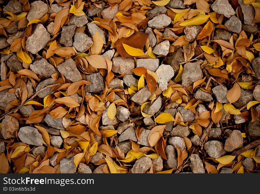 Stone and leaf background