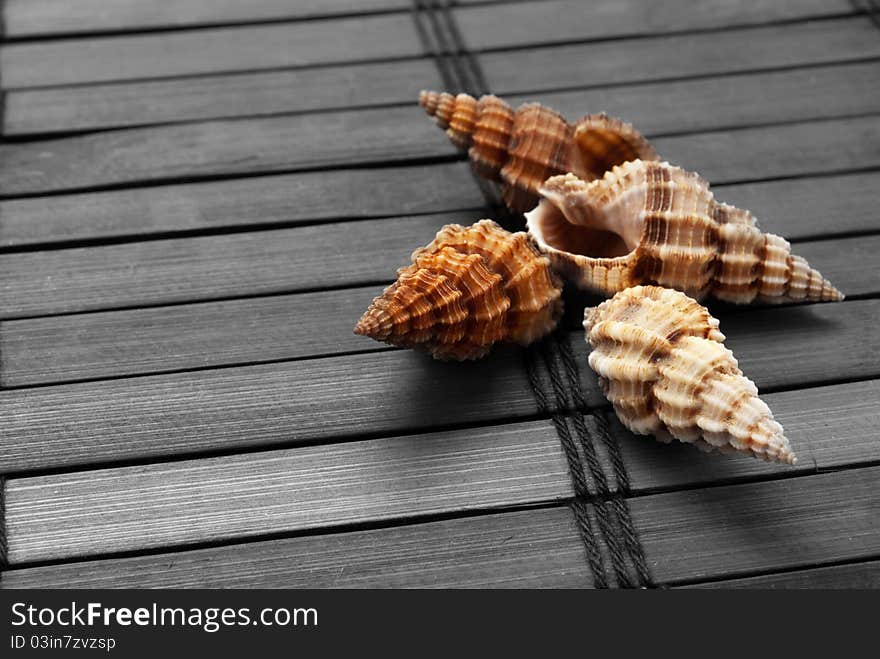 Colored seashells on uncolored wooden mat. Colored seashells on uncolored wooden mat.