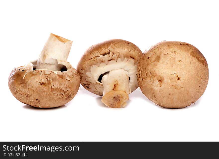 Three chestnut mushrooms