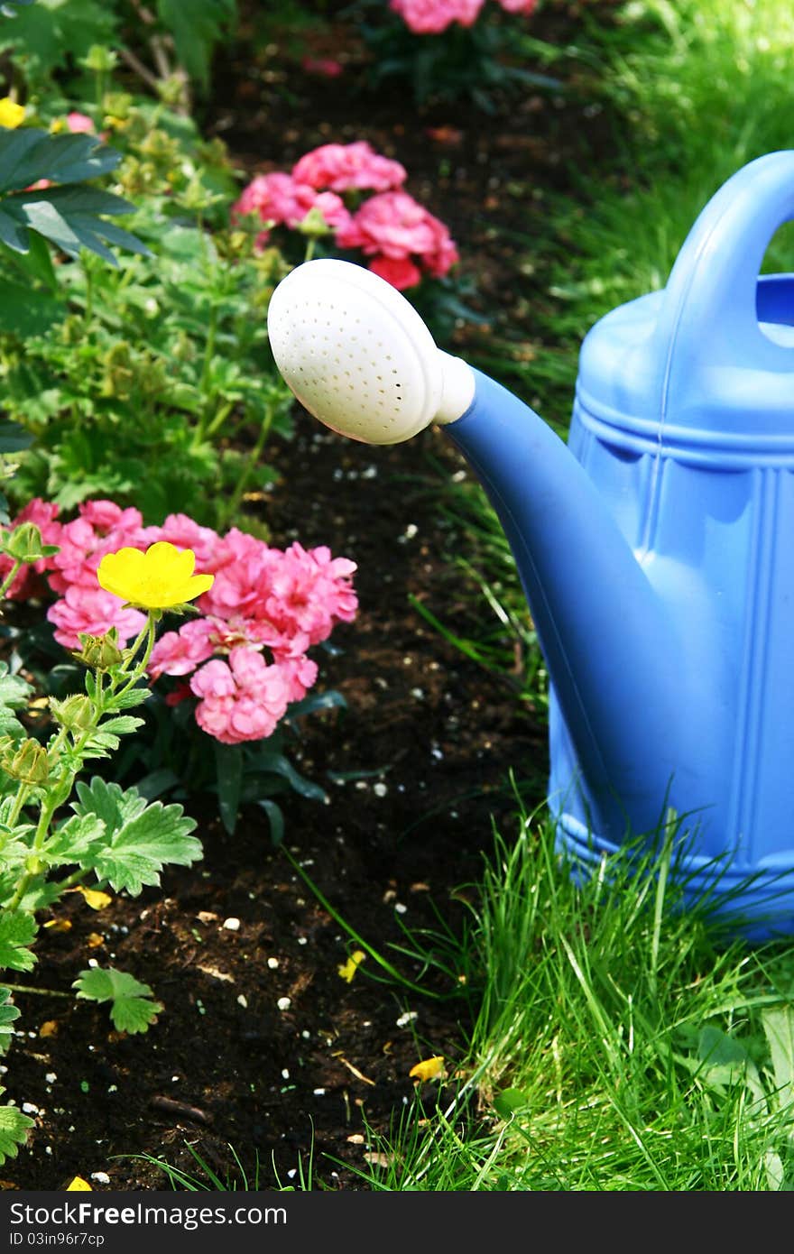 Blue watering with blooming flower bed. Blue watering with blooming flower bed