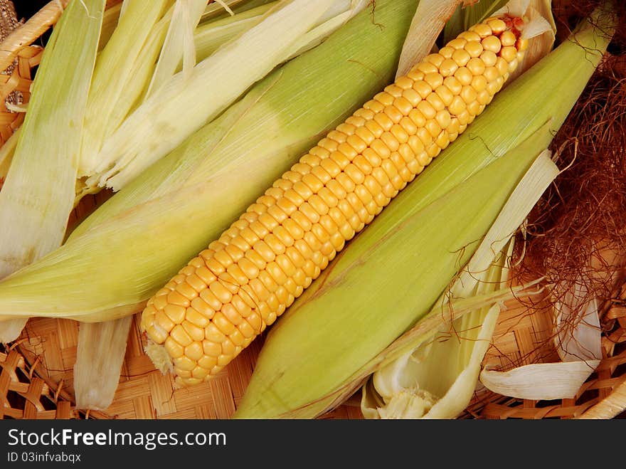 Corn on table. Close-up. Corn on table. Close-up