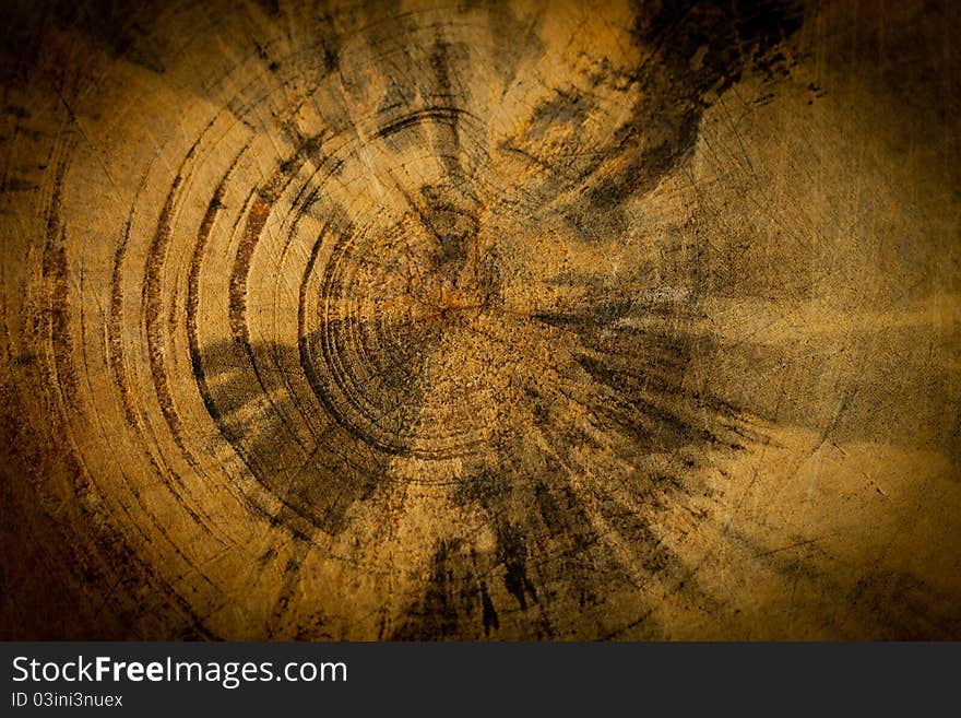 Old wood texture (detail of the trunk of a tree)