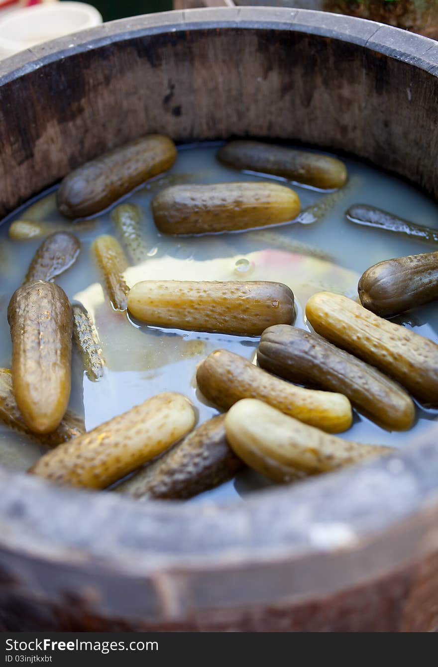 Saline cucumber in the wood