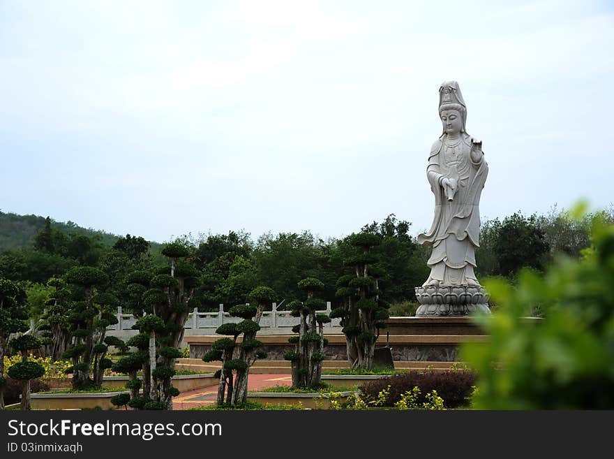 Guan yin