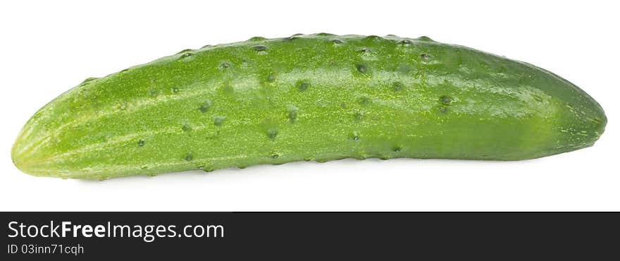 Cucumber