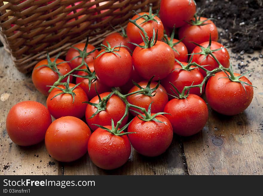 Ripe tomatoes on wooden bench