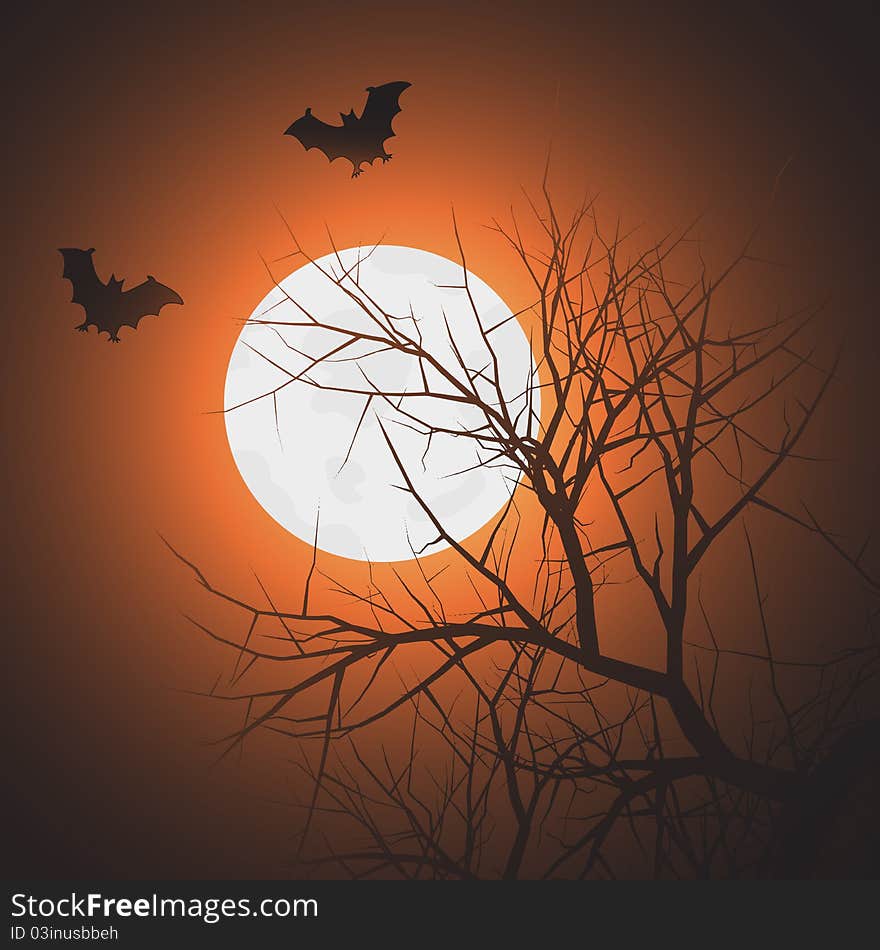 Bats at night time