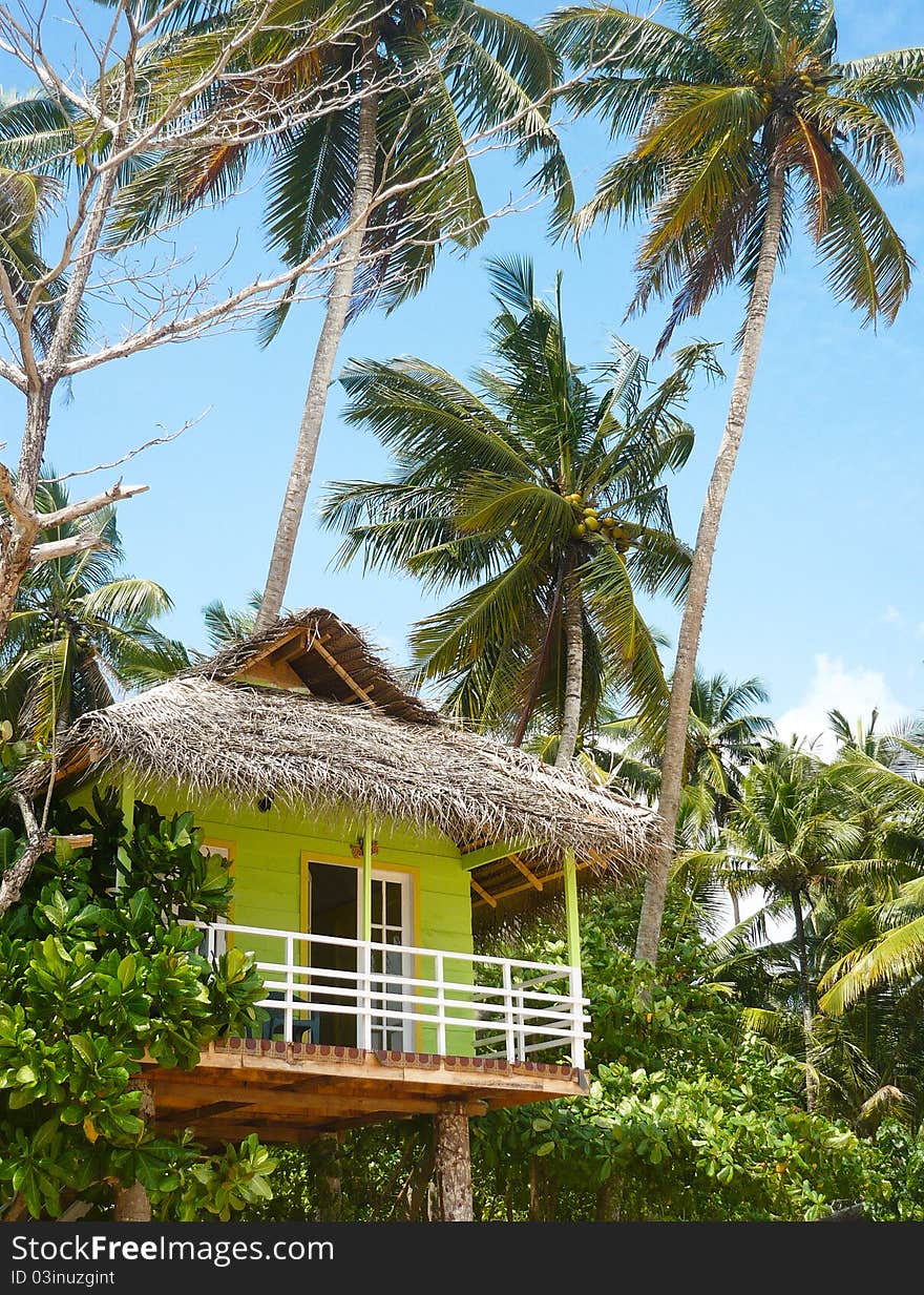 tourist hut under palms, beach, Sri Lanka