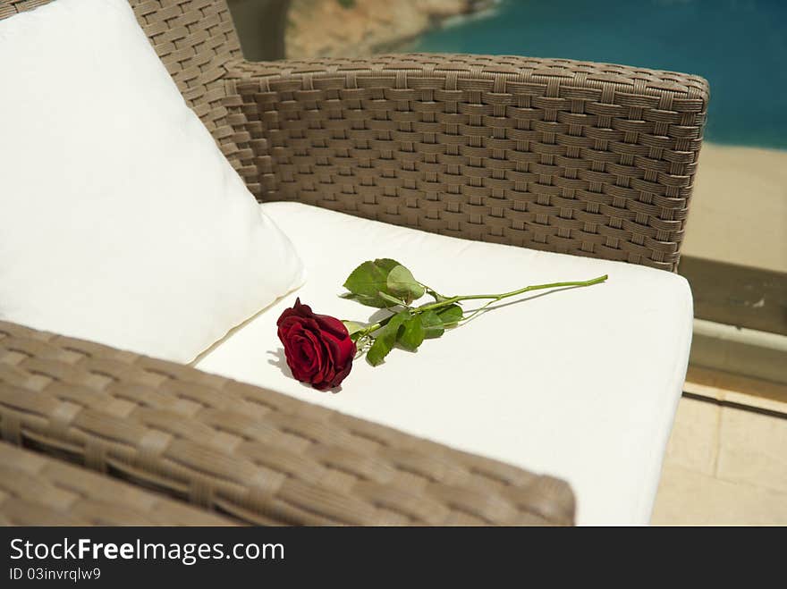 Red rose on the armchair near Mediterranean sea. Red rose on the armchair near Mediterranean sea