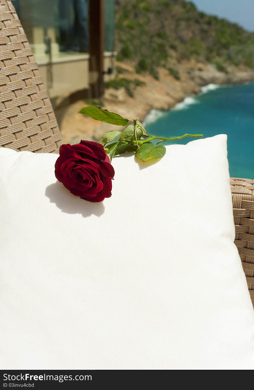 Red rose on the white cushion near Mediterranean sea. Red rose on the white cushion near Mediterranean sea