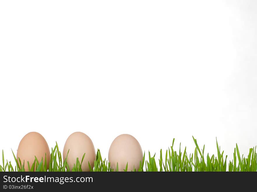 Background close colorful colors decoration design detail easter eggs fresh freshness grass happy holiday macro painted pattern seasonal souvenir symbol texture tradition traditional