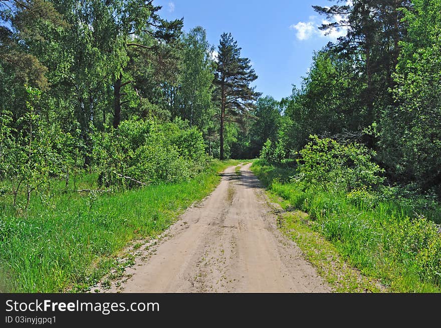 Country dirt road in summer forest. Country dirt road in summer forest